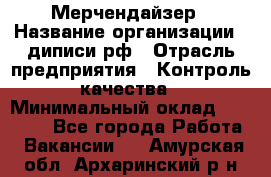 Мерчендайзер › Название организации ­ диписи.рф › Отрасль предприятия ­ Контроль качества › Минимальный оклад ­ 20 000 - Все города Работа » Вакансии   . Амурская обл.,Архаринский р-н